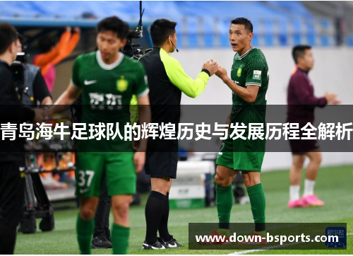 青岛海牛足球队的辉煌历史与发展历程全解析
