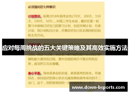 应对每周挑战的五大关键策略及其高效实施方法