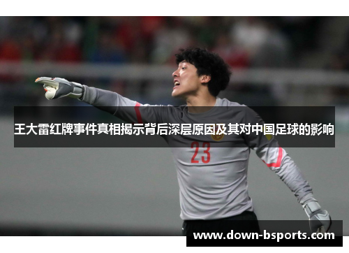 王大雷红牌事件真相揭示背后深层原因及其对中国足球的影响
