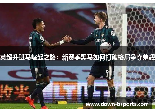英超升班马崛起之路：新赛季黑马如何打破格局争夺荣耀